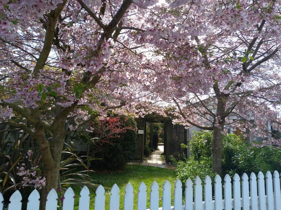 Secret Cottage Waitara Buitenkant foto