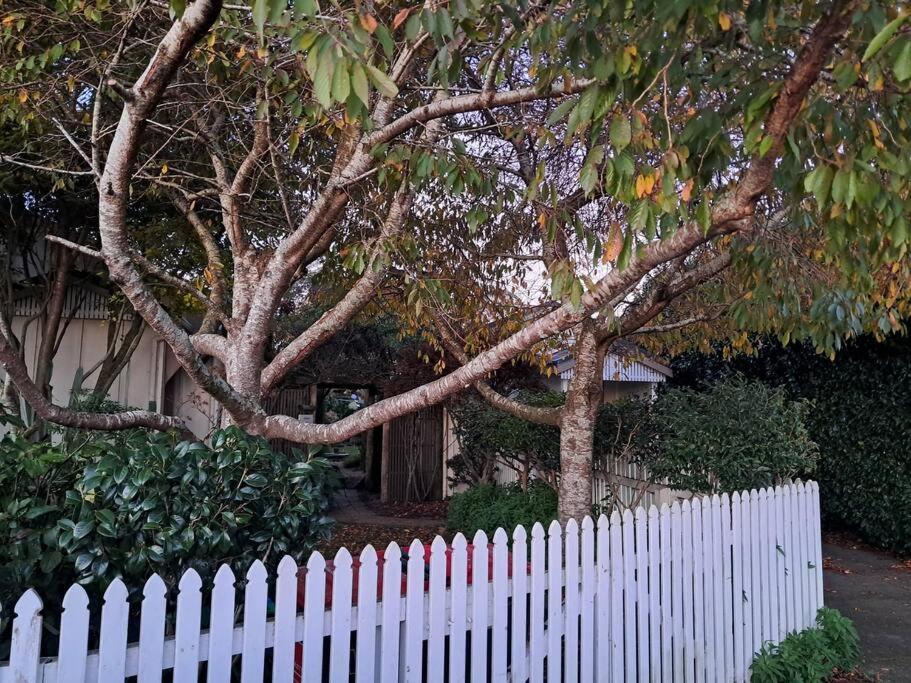 Secret Cottage Waitara Buitenkant foto